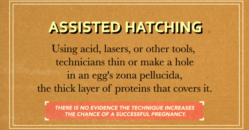 IVF add-on