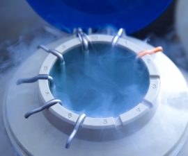 IVF add-on